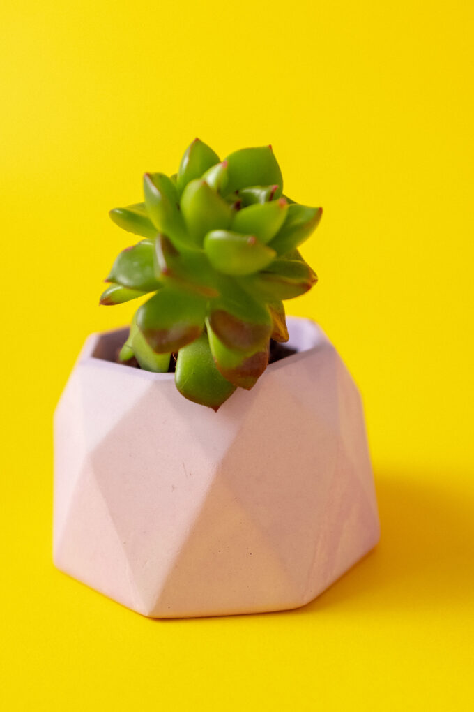 Octagonal